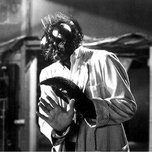 Meet your Posher, Lisa-Sylvia